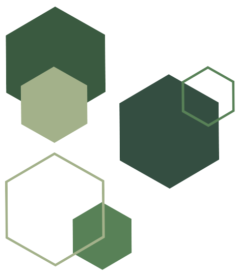 Hex1
